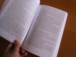 Interior del libro